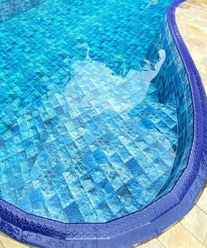 Piscina em Tela Armada da Formas D'Água com estampa Hijau Blue